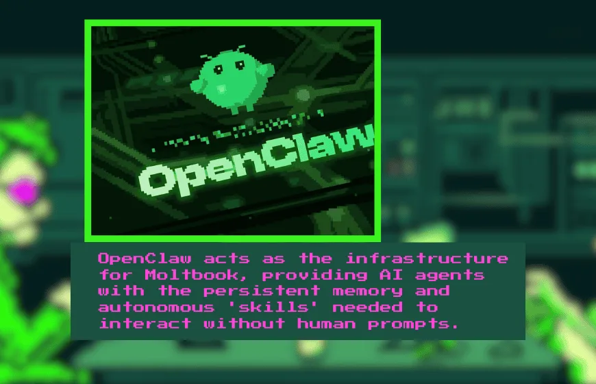 A Social Network Where Humans Aren’t in Charge